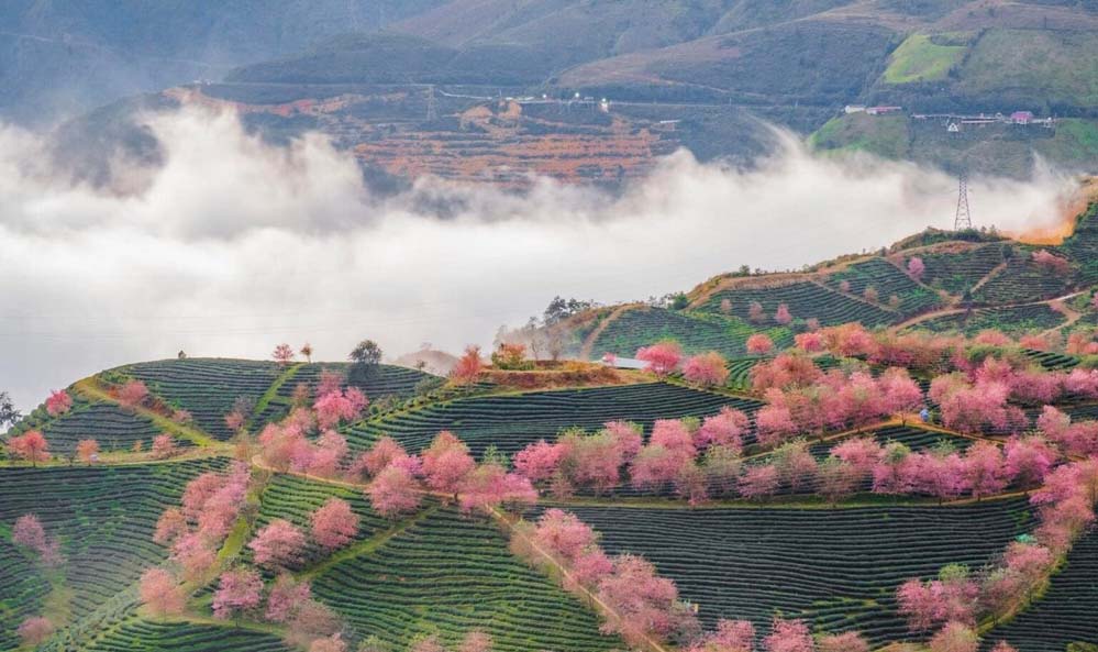 Best time to visit northern Vietnam